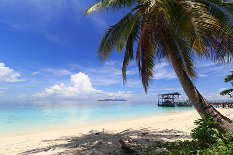 波姆波姆 + 马塔金 + 蒂姆巴-蒂姆巴 岛屿跳岛一日游