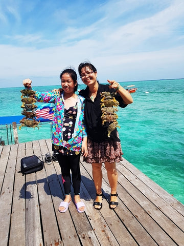 Semporna Island Hopping Day Trip - Mabul Island & Kapalai Island